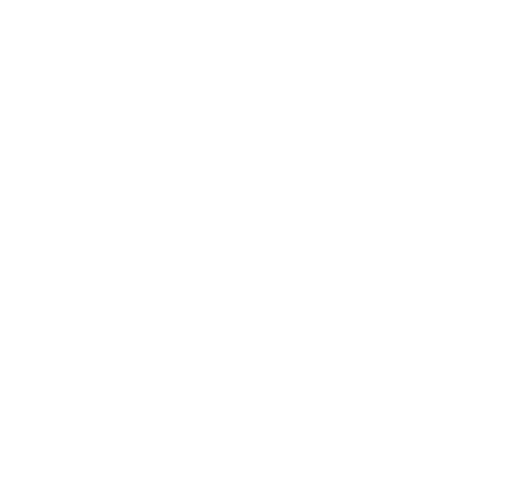IT Audit servicer