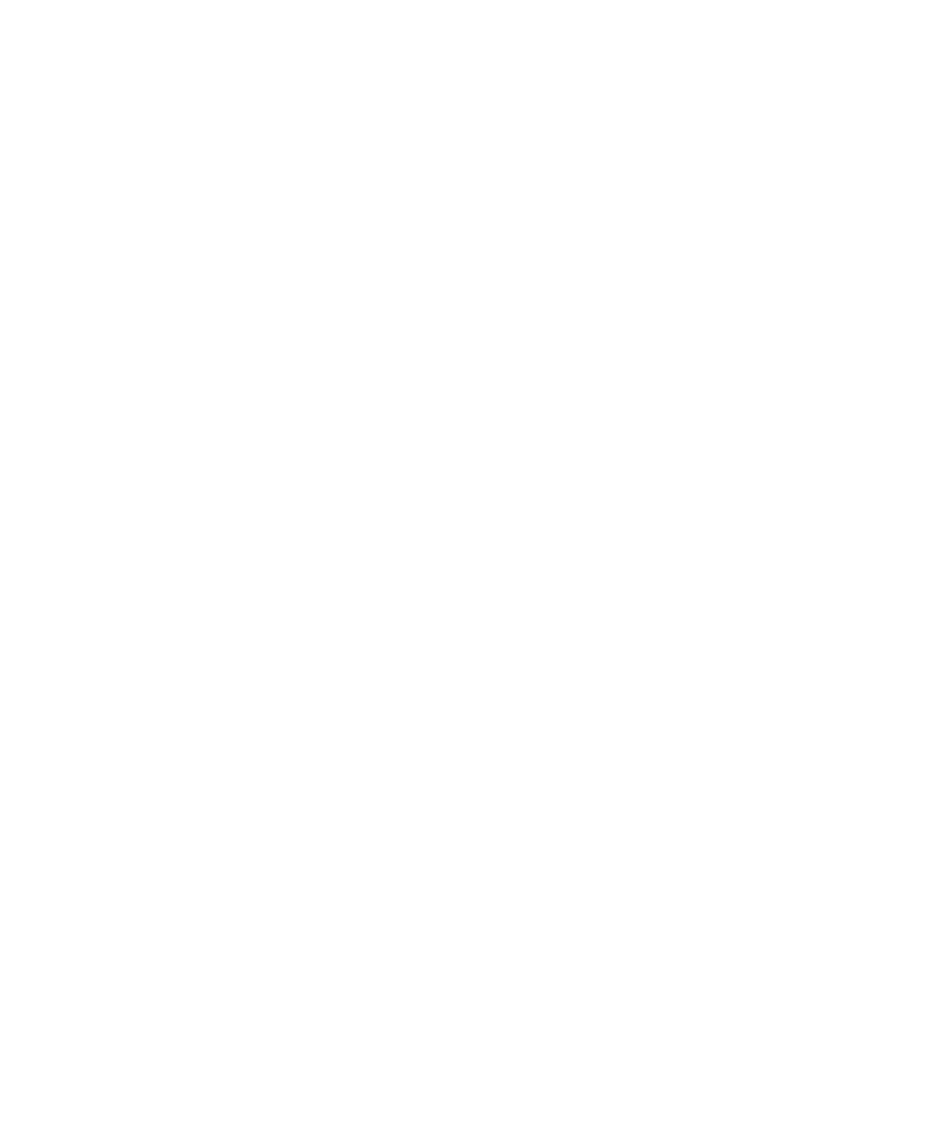 computer dsolution